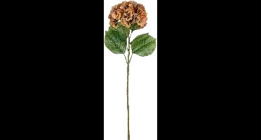 MICA DECORATIONS HORTENSIA BRUIN - L81CM 127235 BROWN01