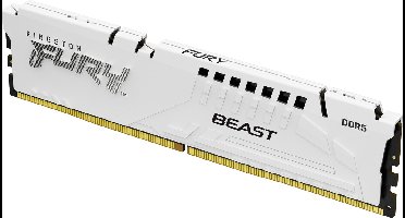 Kingston Technology FURY Beast 32GB 6000MT/s DDR5 CL30 DIMM White EXPO