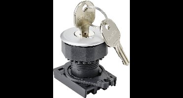 TRU COMPONENTS TC-10343992 S3KF-2DS Frontelement voor sleutelschakelaar Sleutel Zilver 1 x 90 ° 1 stuk(s)