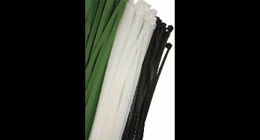 Nylon kabelbinders EDM 300 x 8 mm Zwart 100 Stuks