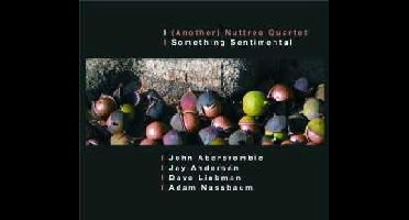 (Another) Nuttree Quartet - Something Sentimental (CD)