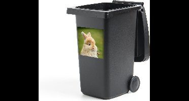 Container sticker Konijn - Baby - Emmer - 40x40 cm - Kliko sticker