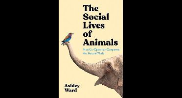The Social Lives of Animals