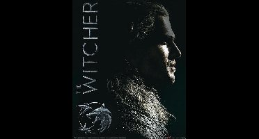 Poster - The Witcher Shadows Embrace - 50 X 40 Cm - Multicolor