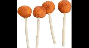 Trixie Premio Lolly Met Kabeljauw