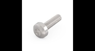 TORX-LINSKOSCHR 2,5X12 100S