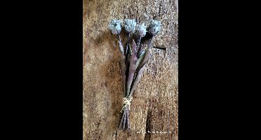 Countryfield Kunstboeket Tulipa (parkiet) grijs