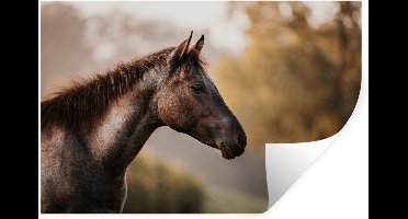 Muurstickers - Sticker Folie - Paard - Bos - Portret - 30x20 cm - Plakfolie - Muurstickers Kinderkamer - Zelfklevend Behang - Zelfklevend behangpapier - Stickerfolie