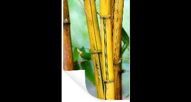 Muurstickers - Sticker Folie - Gele bamboe - 20x30 cm - Plakfolie - Muurstickers Kinderkamer - Zelfklevend Behang - Zelfklevend behangpapier - Stickerfolie