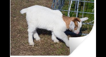 Muurstickers - Sticker Folie - Geit - Boerderij - Stro - 30x20 cm - Plakfolie - Muurstickers Kinderkamer - Zelfklevend Behang - Zelfklevend behangpapier - Stickerfolie