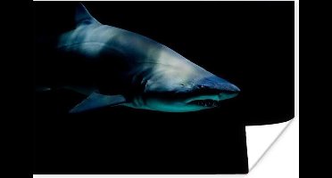 Poster Haai - Macro - Water - 30x20 cm