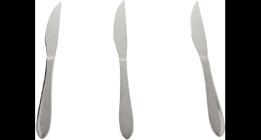 Cosy & Trendy New Sleek Steakmessen - 3 Stuks - RVS