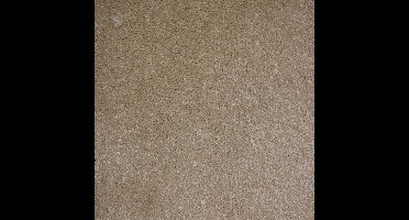 Vloerkleed Xilento Soft Sahara | 170 x 230 cm