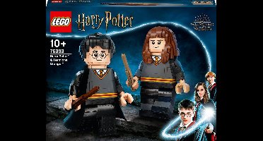 LEGO Harry Potter & Hermelien Griffel - 76393