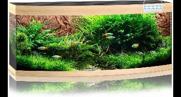 Juwel Aquarium Vision 450 Led 151x61x64 cm - Aquaria - Licht Hout