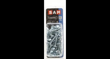55x SAM  Zelfborende schroef cyl. kop K1 818420