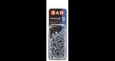 80x SAM Zelftappende schroef cyl. kop F3 818354