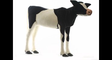 Hansa Kalf Friese koe knuffel