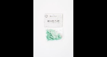 72 Mini houten knijpers Mint Groen - Feest Thema Polaroid Foto Ophangen Klein Knijper