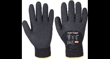Portwest Artic Winterhandschoen - Zwart - XXL