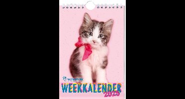 Week kalender - 2025 - Rachael Hale - Katten
