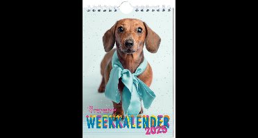 Rachael Hale weekkalender 2025