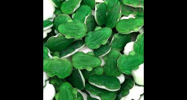 Haribo Kikkers 3kg - Snoep - 3 x 1kg