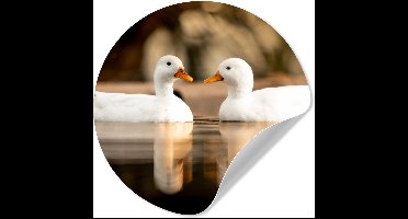 Behangcirkel - Eend - Wit - Dieren - Water - Zelfklevend behang - 30x30 cm - Behangcirkel dieren - Behangcirkel zelfklevend - Cirkel behang - Schilderij rond
