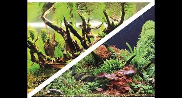 Hobby Foto Achterwand Green Secret/Wood Island 30CM x 25M
