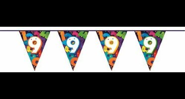 Vlaggenlijn Cijfers 9 jaar - 10 meter