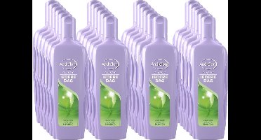 Andrélon - Shampoo - Iedere Dag - 300ml x 24