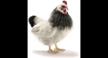 Hansa Franse Kip Pluche - Handgemaakt van gerecycled materiaal - 38 cm