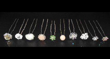 Haarpinnen diverse varianten set van 10 stuks. #2