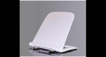 Go by Van Marcke Ike WC zitting met scharnieren dunne softclose en takeoff zitting