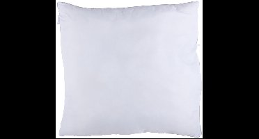 alpina kussen 80 x 80 cm - Kussen voor Bed en Bank - Wasmachine Bestendige Hoes - Wit