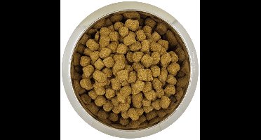 Yourdog Chien français blanc et orange Rasspecifiek Senior Hondenvoer 12kg | Hondenbrokken