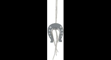 Gelukshanger Hoefijzer > 25mm | 10 Stuks