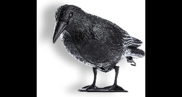 Zylo® Duivenverjager - Duivenpinnen - Vogelverjager - Zwart - 39cm x 13cm x 24cm