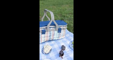 Geïsoleerde Koeltas| Lunchtas| Thermotas| 22 Liter| Picknicktas| Isolatie| Kamperen