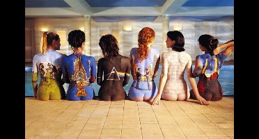 Pink Floyd poster - Back Catalogue - Rockband - Roger waters - 61 x 91.5 cm