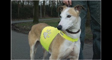 Beeztees Safety Gear Veiligheidsvest - Hond - Geel - L