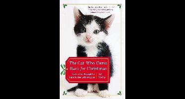 The Cat Who Came Back for Christmas
