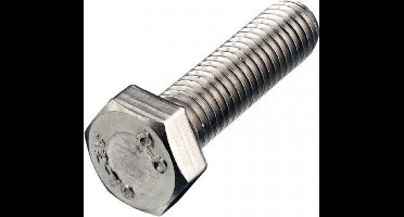 M10 Bout - 10 x 55mm - klasse 8.8 - gegalvaniseerd - metrisch (10 stks)