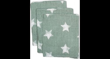 Briljant Robin Stone Green Hydrofiel Washandjes 3 stuks 60R