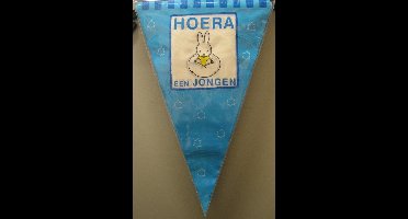 vlaggenlijn geboorte jongen - Nijntje - 6m