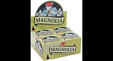 HEM Wierook Kegel Magnolia (12 pakjes)