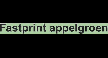 Kopieerpapier Fastprint Appelgroen A4 120gr