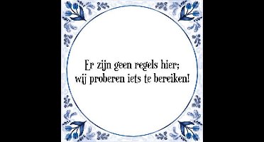 Tegeltje met Spreuk (Tegeltjeswijsheid): Er zijn geen regels hier; wij proberen iets te bereiken! + Kado verpakking & Plakhanger