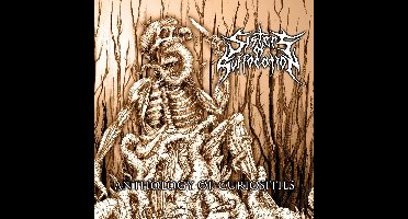 Anthology Of Curiosities