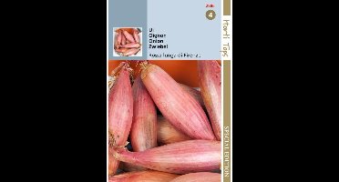 Hortitops zaden - Uien Rossa lunga di Firenze - Simiane 2 gram